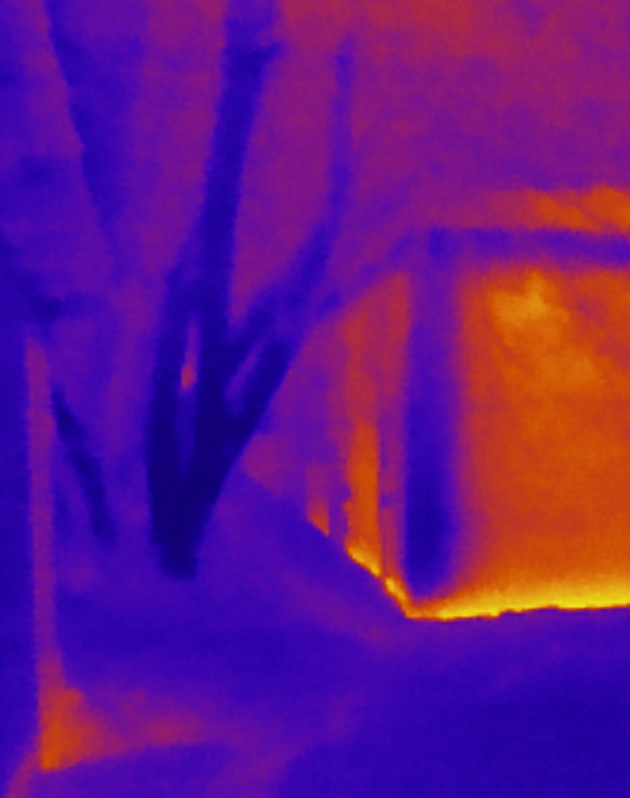 Если б я была удавом / If I were a boa constrictor. Visual artist Olga Burmistrova