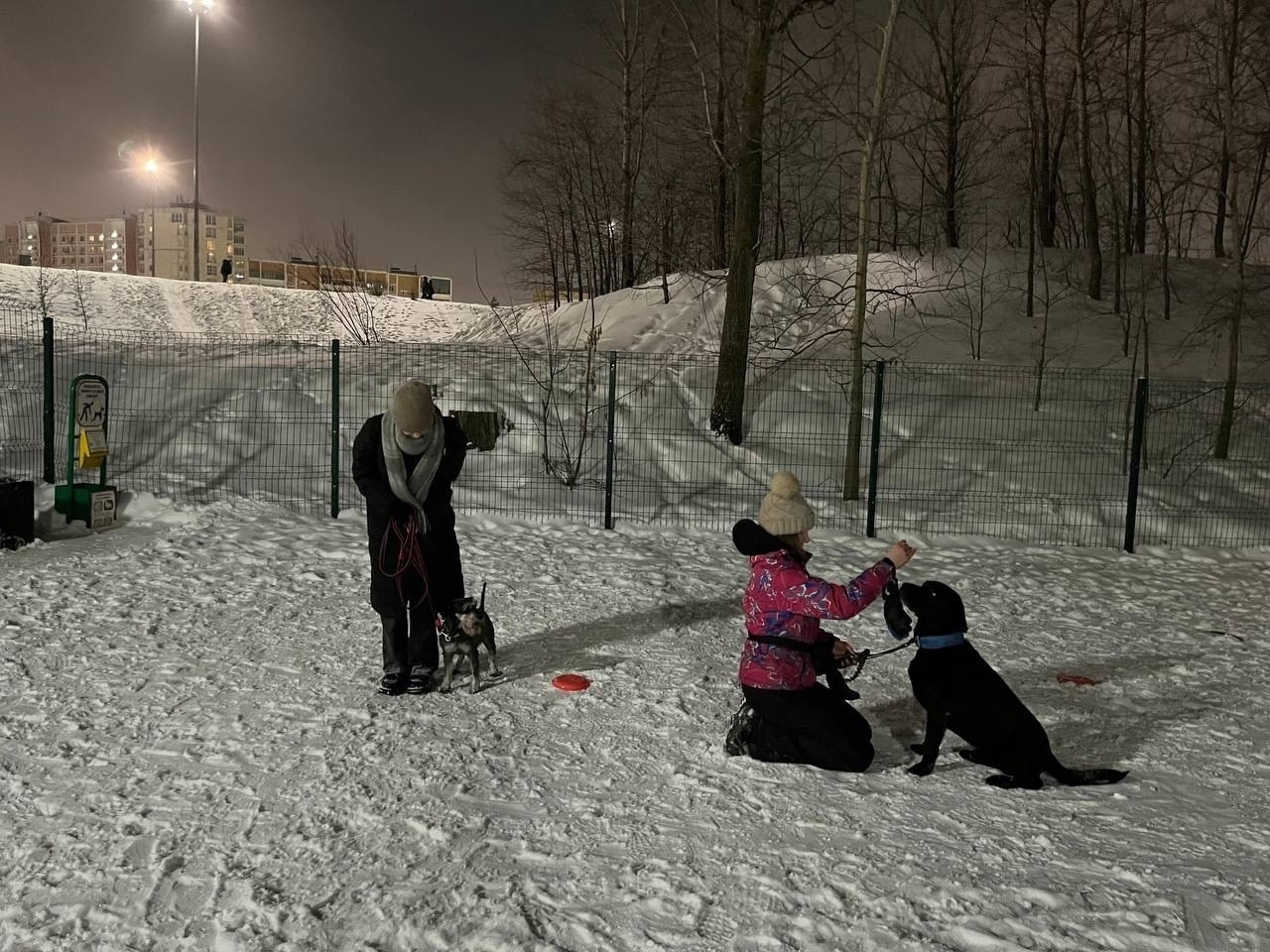 Практические занятия по дрессировке. НРОО КЦ "Собаковод"