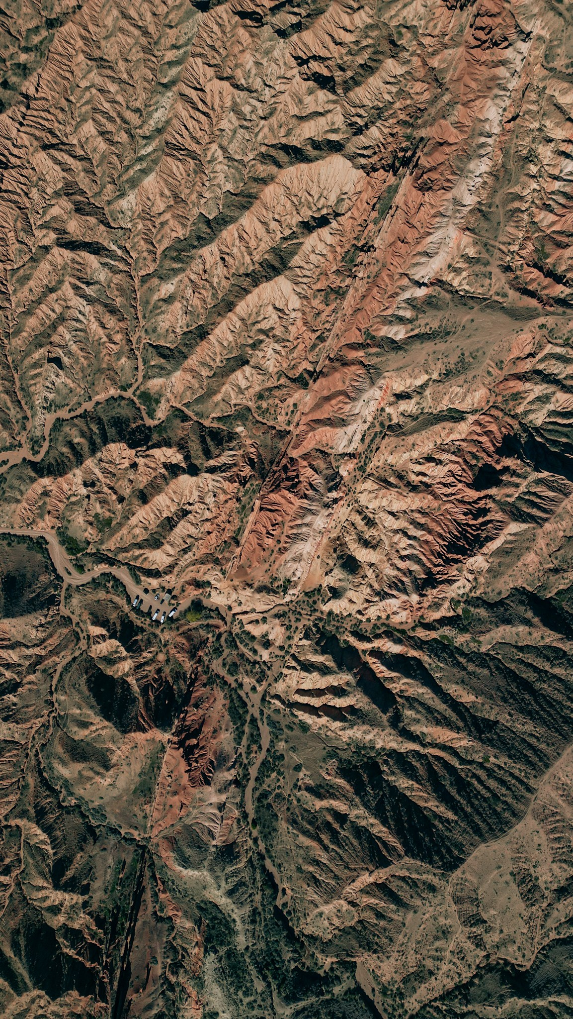 Кыргызстан. Человек с фотокамерой