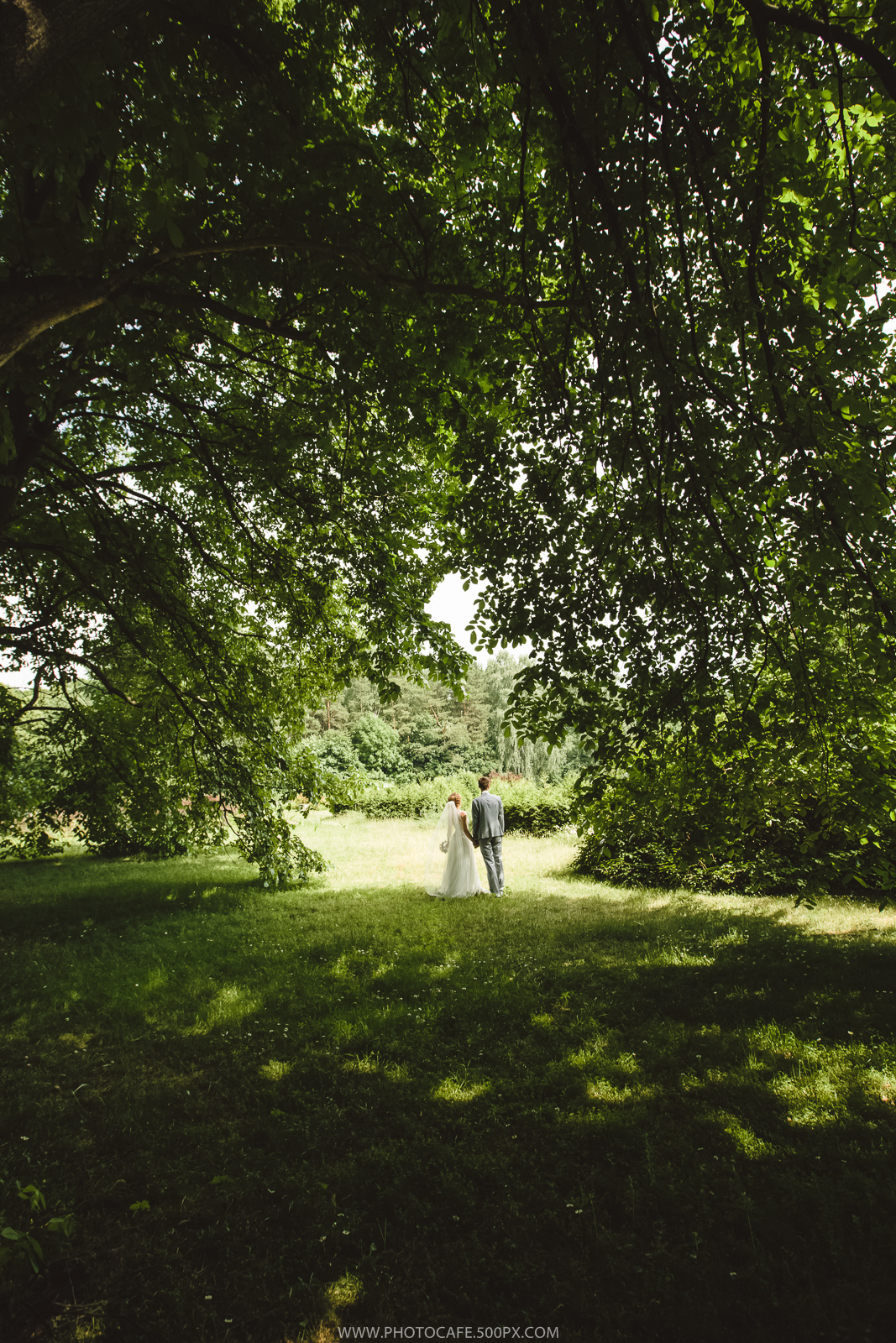 А & В. Gentle jasmine wedding. Destination wedding photographer in Iceland, Spain, Italy, Greece and