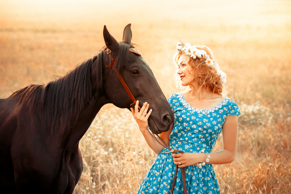 O. Warm summer evening. Destination wedding photographer in Iceland, Spain, Italy, Greece and