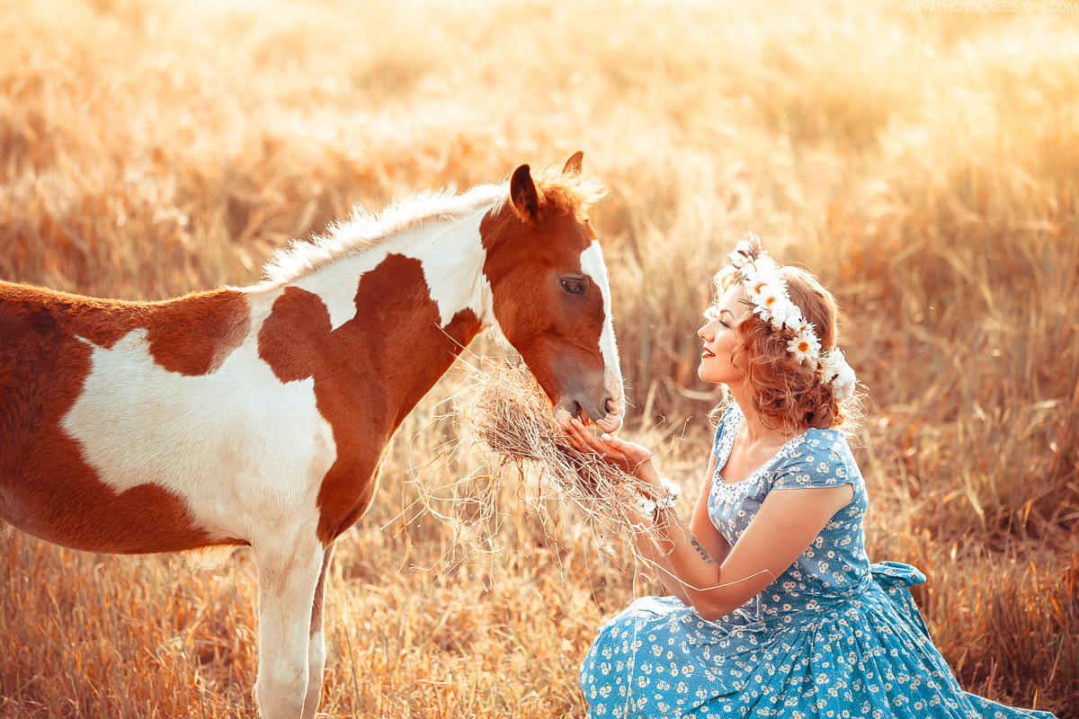 O. Warm summer evening. Destination wedding photographer in Iceland, Spain, Italy, Greece and