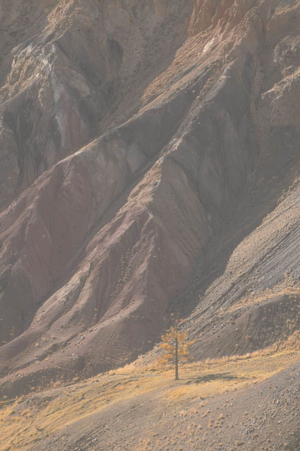 Altai Dream — personal project of photographer Vadim Sherbakov. Vadim Sherbakov Portfolio