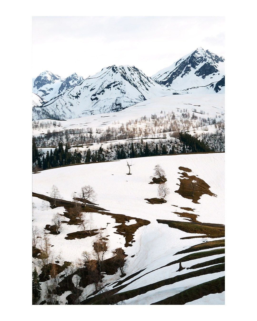 Репортажная фотография