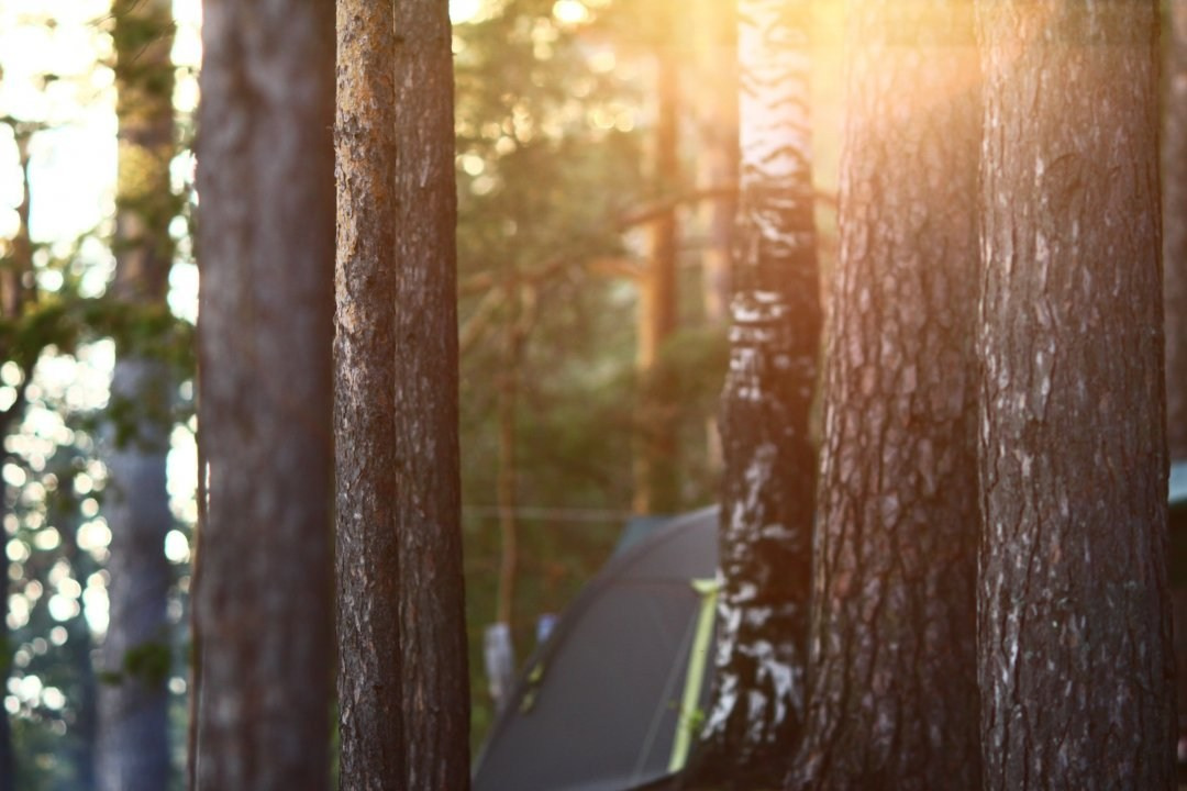 Моменты 2011-2016. Анастасия Либерти