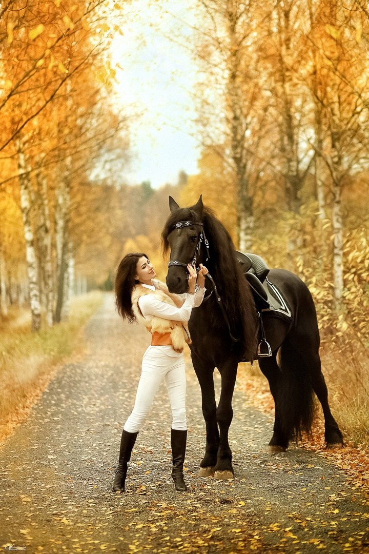 Фотосессии с лошадьми осенью. Фотограф женский и мужской портрет Санкт-Петербург