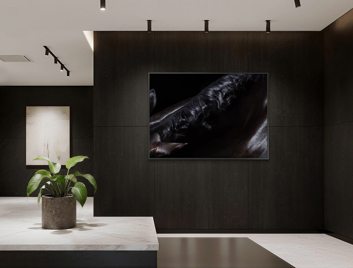 Contacts. LUMEN DUO Art photography for interiors