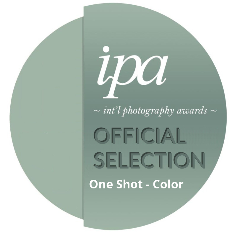 Награды и признание. Фотограф Полина Завельская