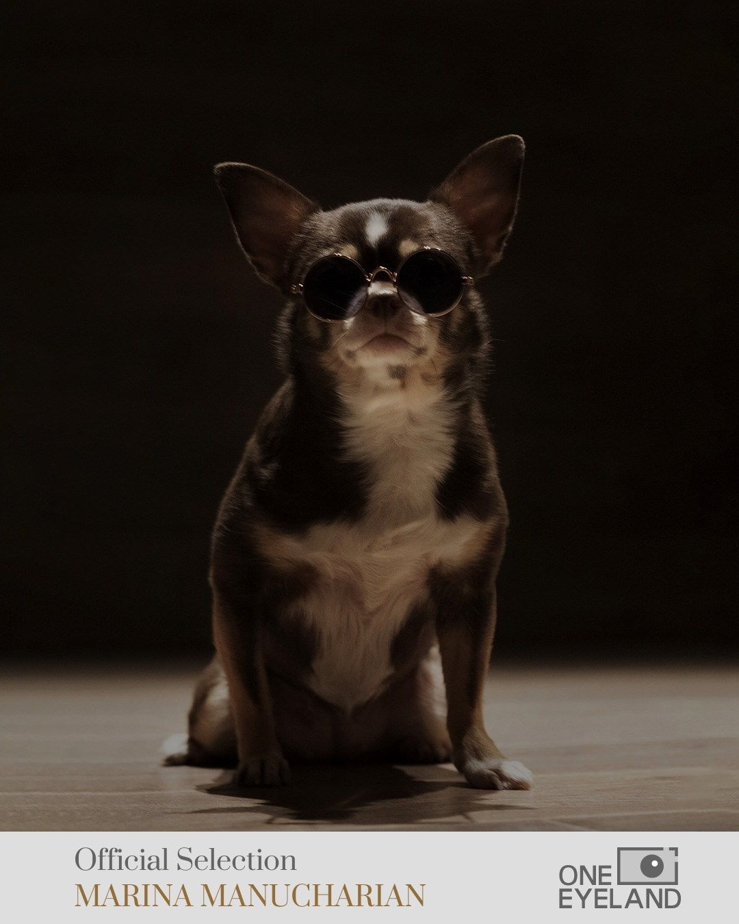 ONE EYELAND. MARINA MANUCHARIAN