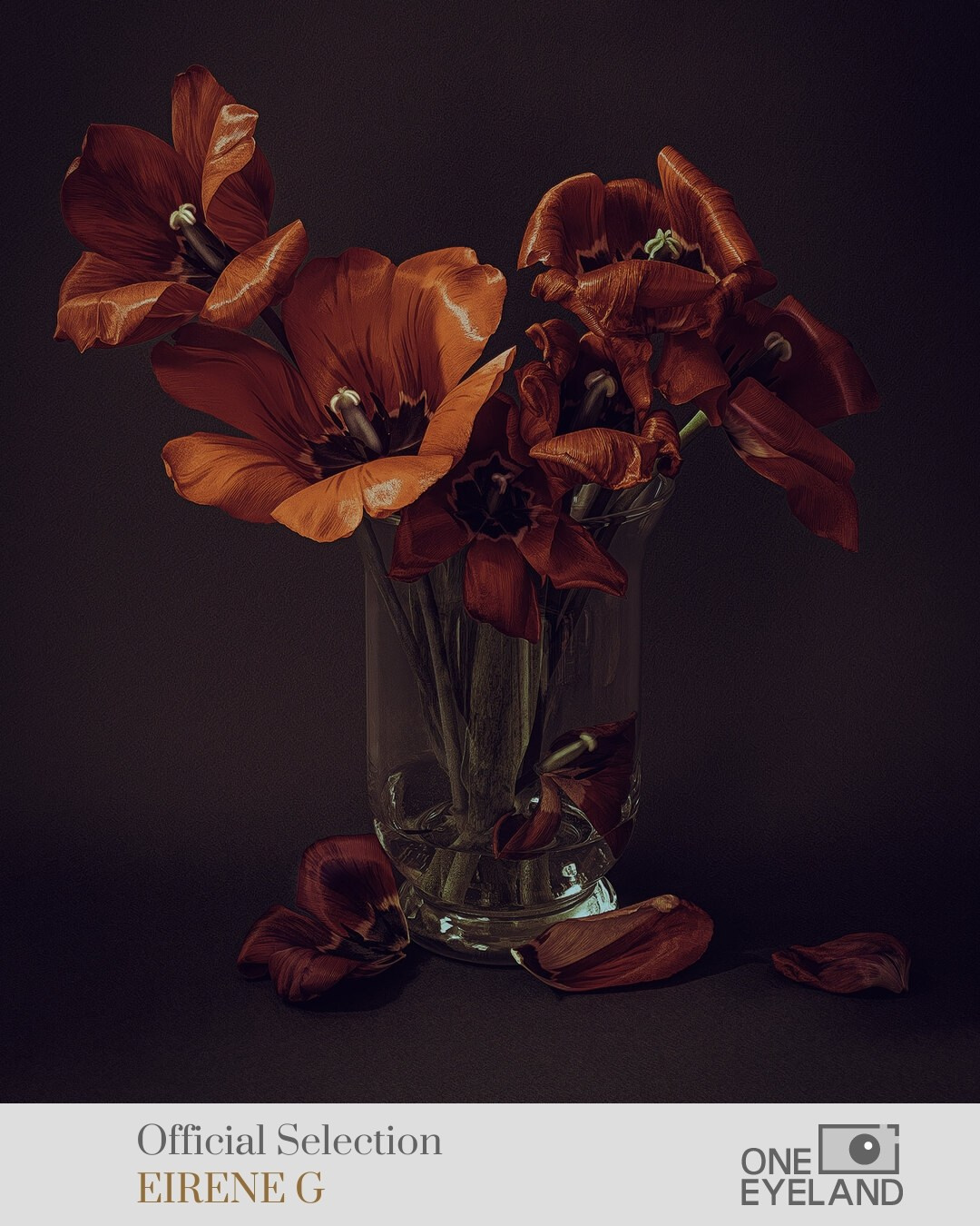 ONEEYELAND GALLERY. Eirene G |  Photoartist | Flowers from my garden