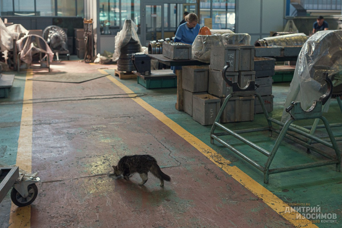 Тюменский моторный завод