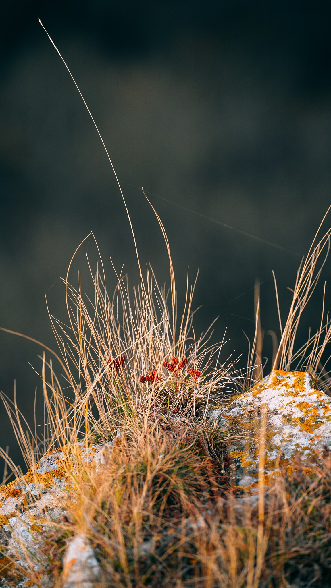 Дагестан 2023. Человек с фотокамерой