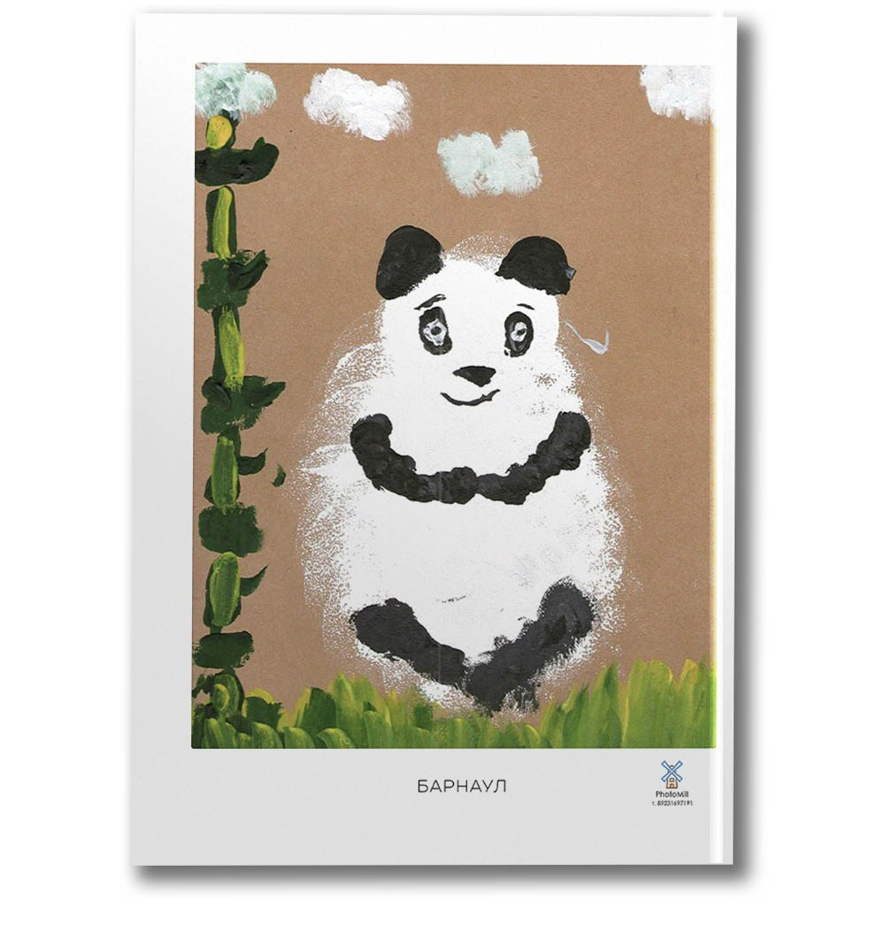 Детский сад Альбом второй. Школьные фотографы Сергей и Олеся Мельниковы