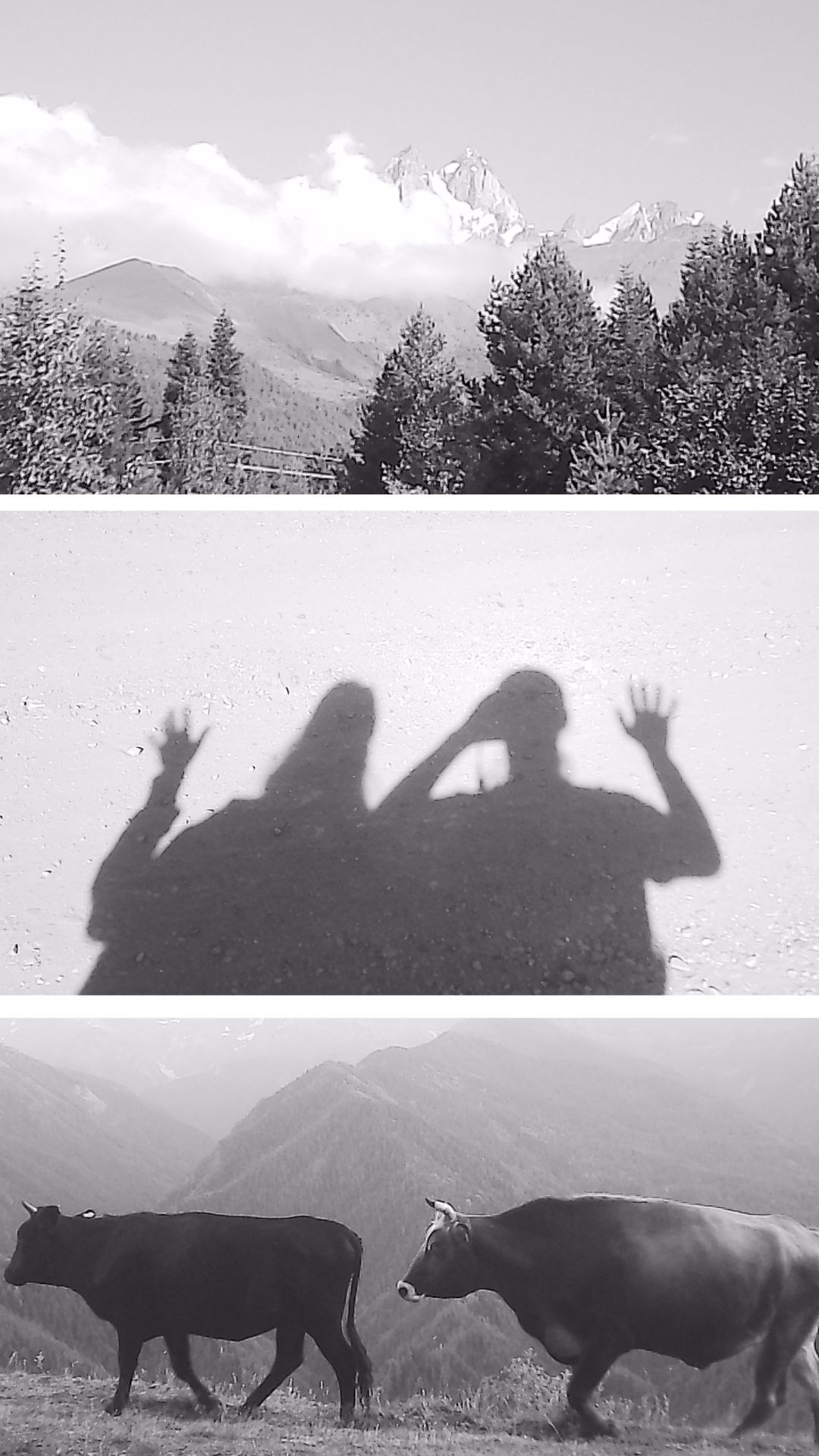 «Крошка 🐣». Anita_photo