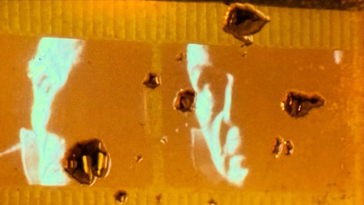 TARKOVSKIY IN THE MIRROR OF SAMARIN (2026). ALEXEI RODIONOV