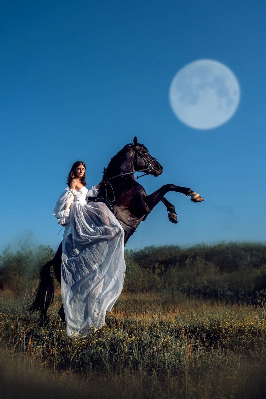 Лошади Емельяново. Конный фотограф в Красноярске — Любовь Похабова