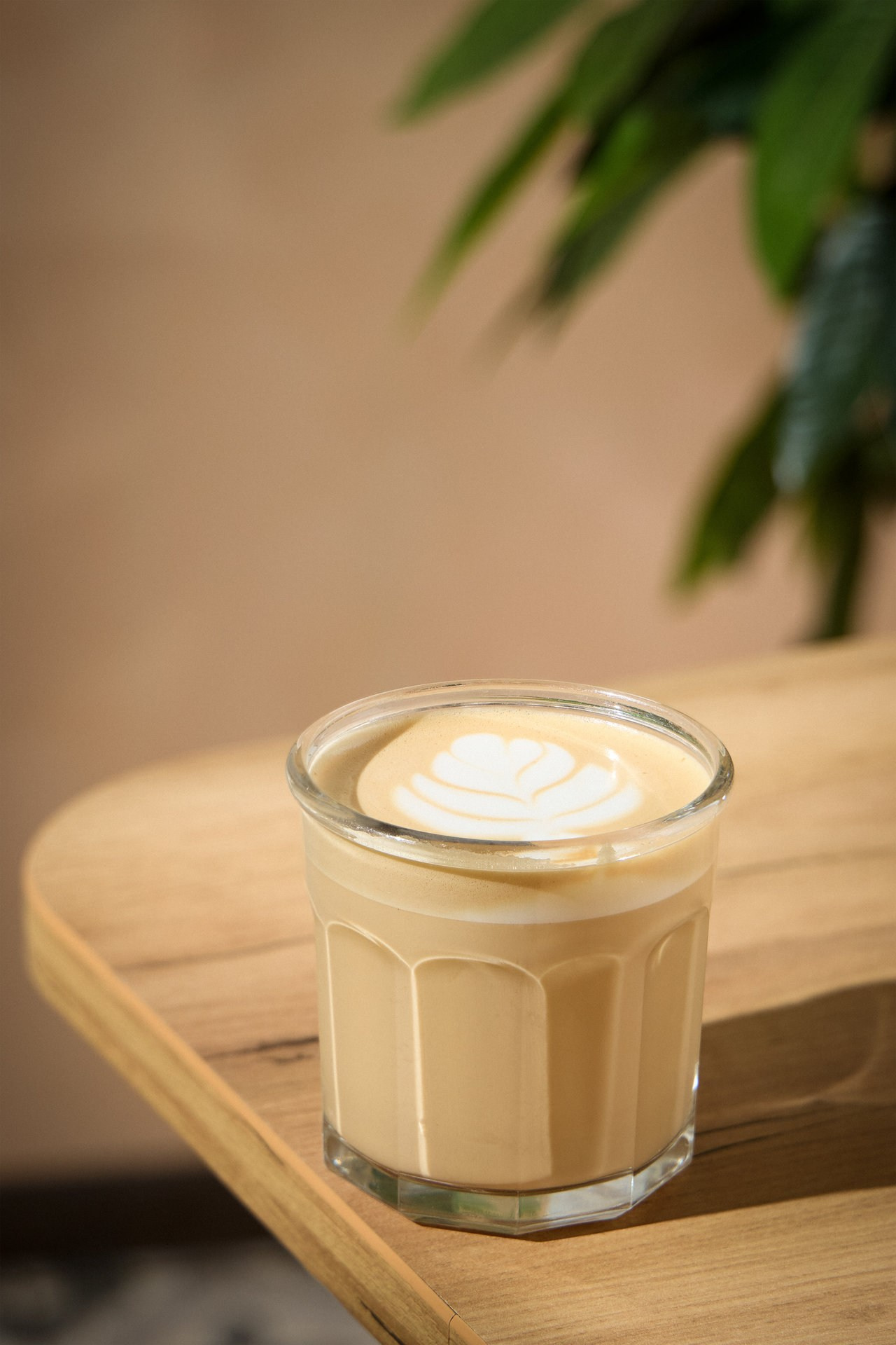 The Zavtrak. Тимур Поляков — фотограф и оператор-постановщик