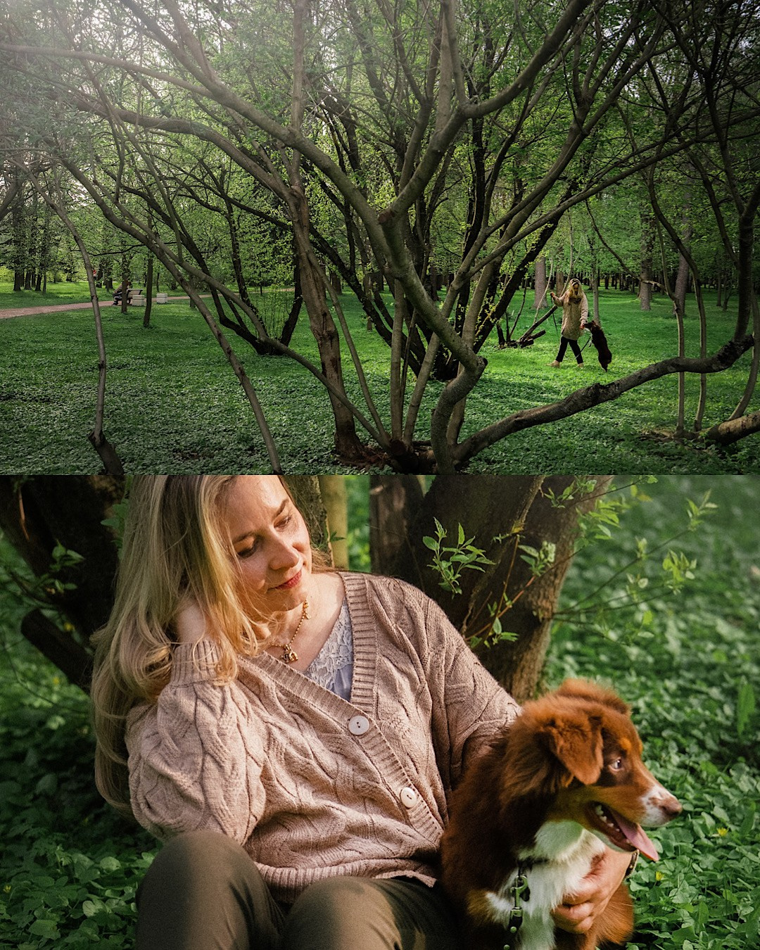 Мария и Брасс. Фотограф анималист в Москве и Санкт-Петербурге Свиридова Анна