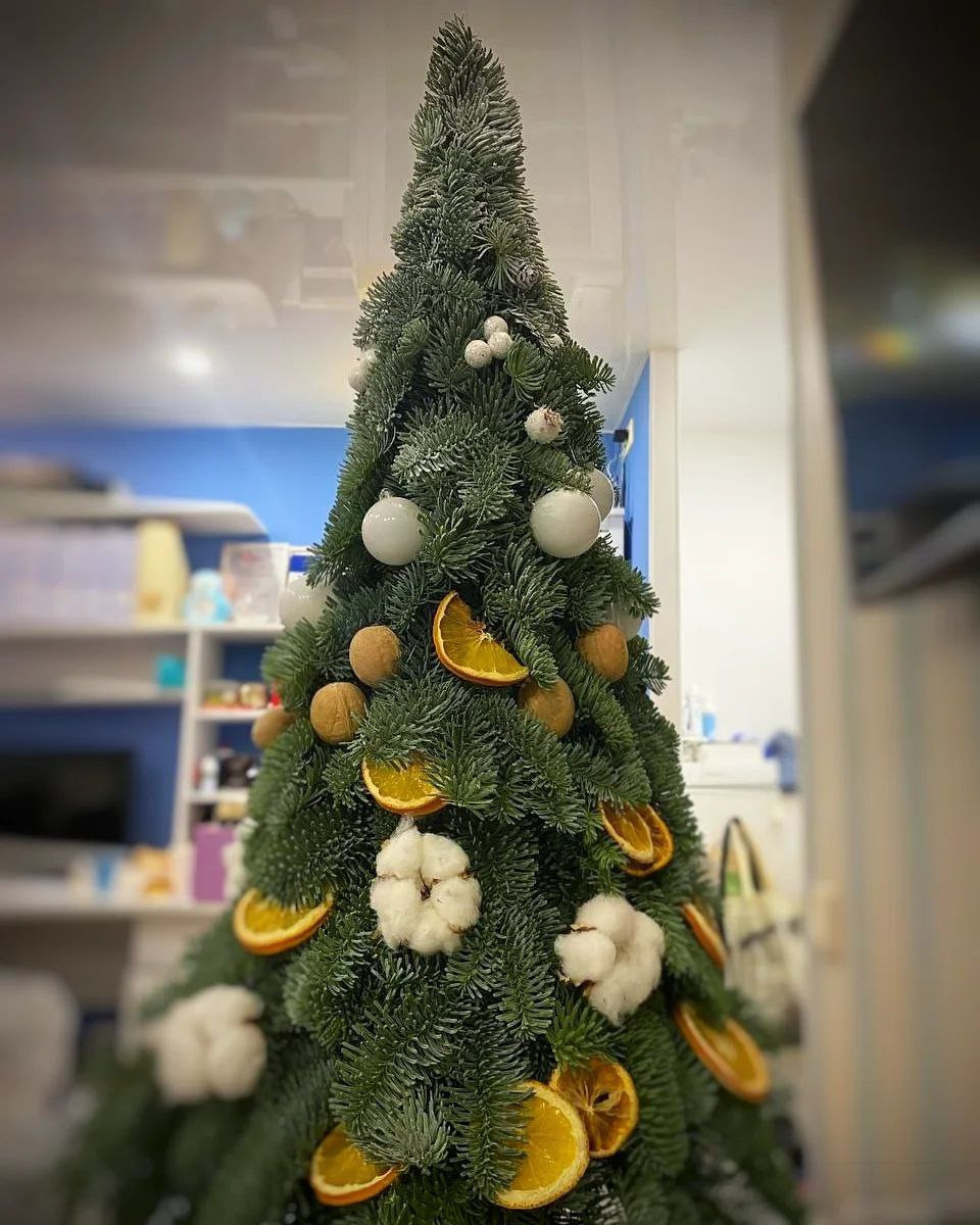 ель из нобилиса