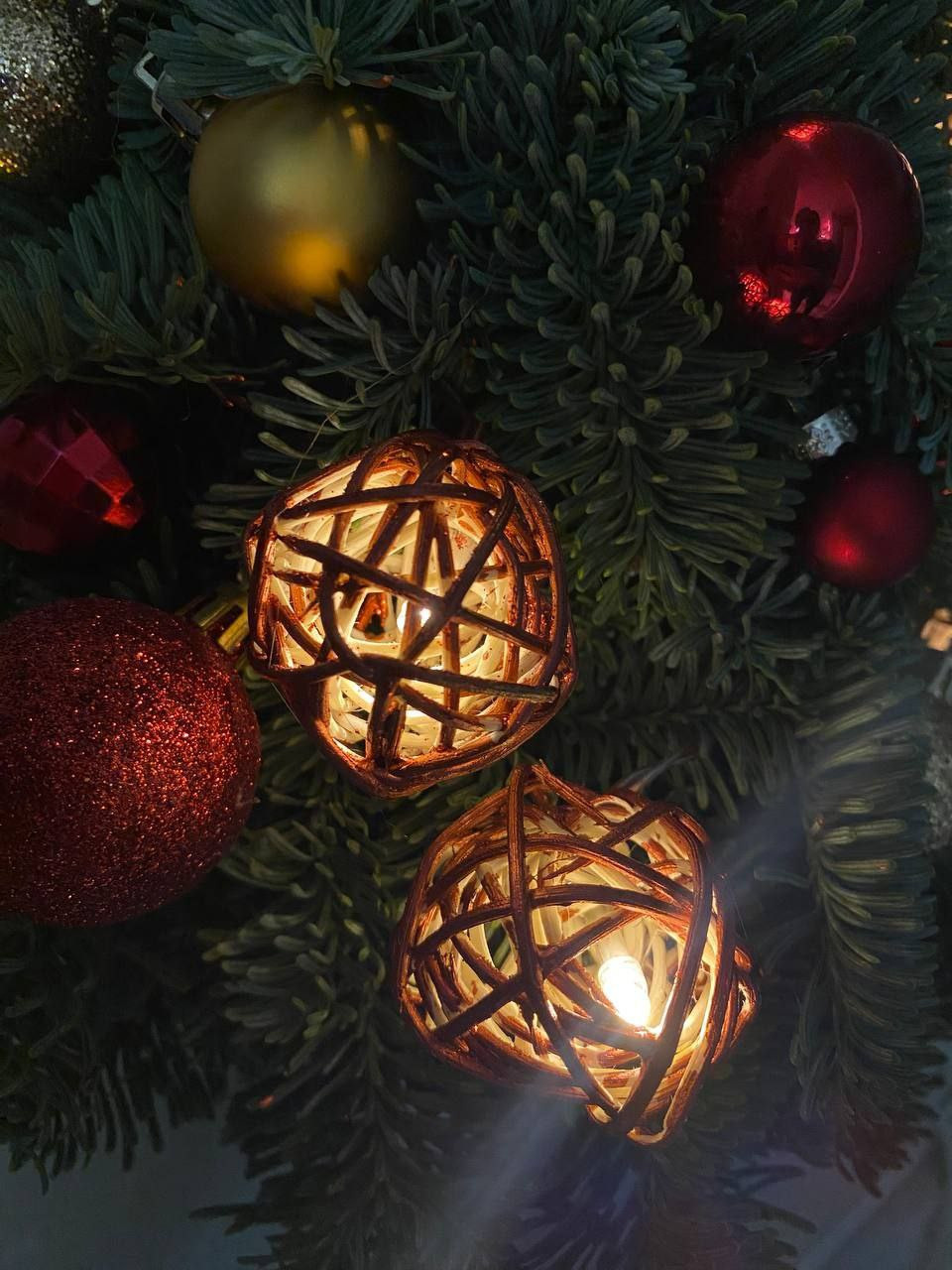 ель из нобилиса