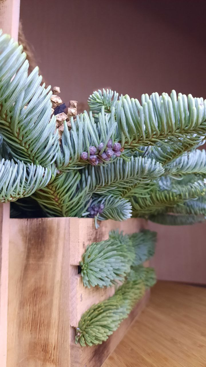 Новый Год и Рождество. Мария Сурмина-Ким. Флорист