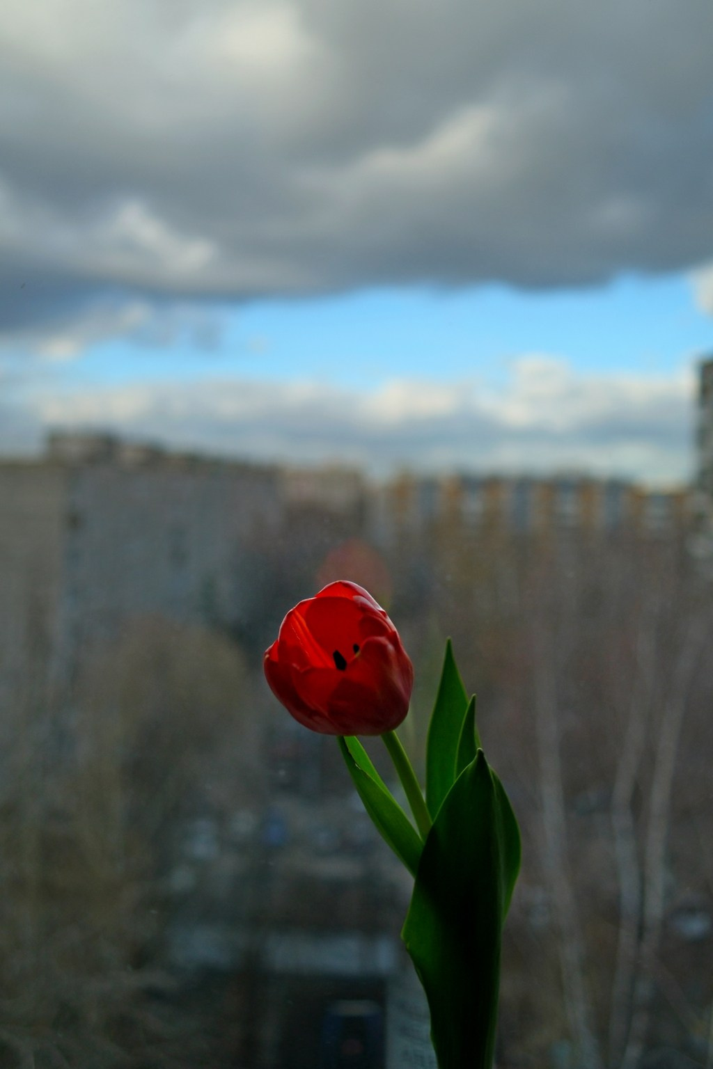 Улица, люди, жизнь…