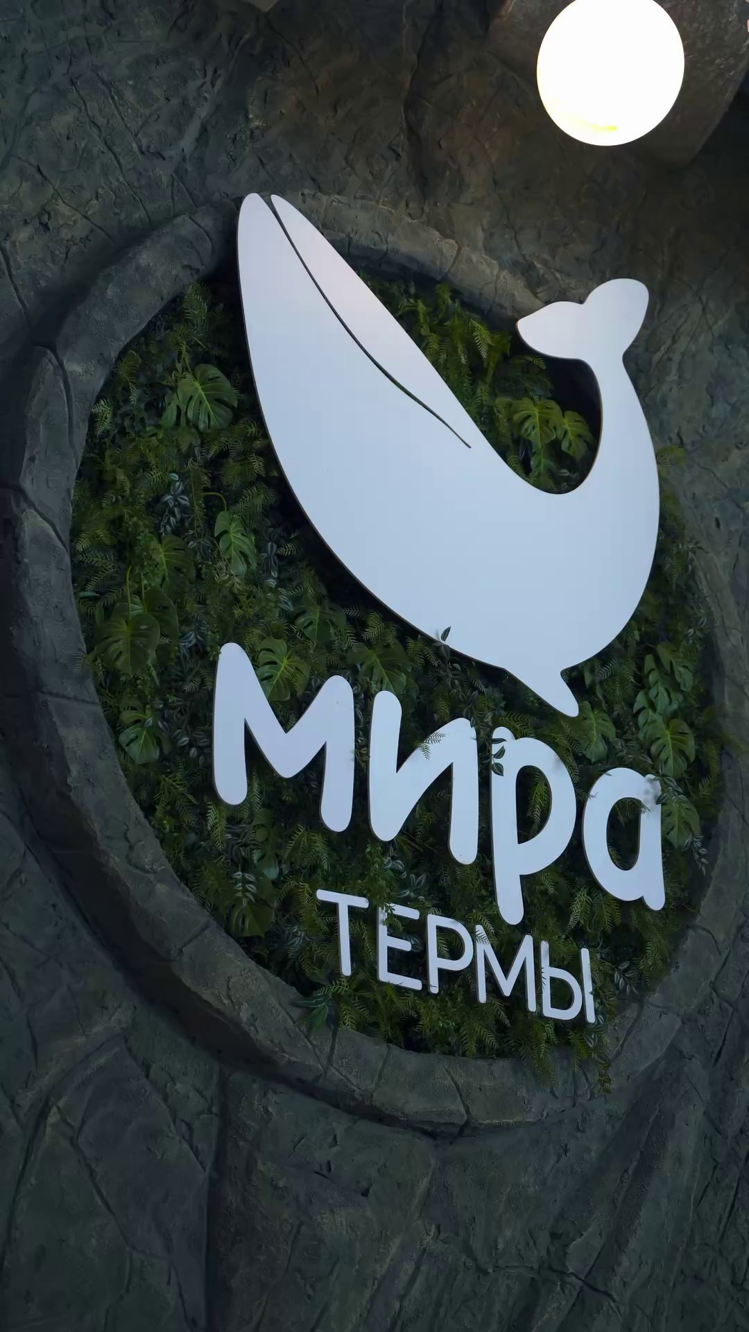 РЕПОРТАЖКА. Видеограф в Новосибирске. Съемка и монтаж видео