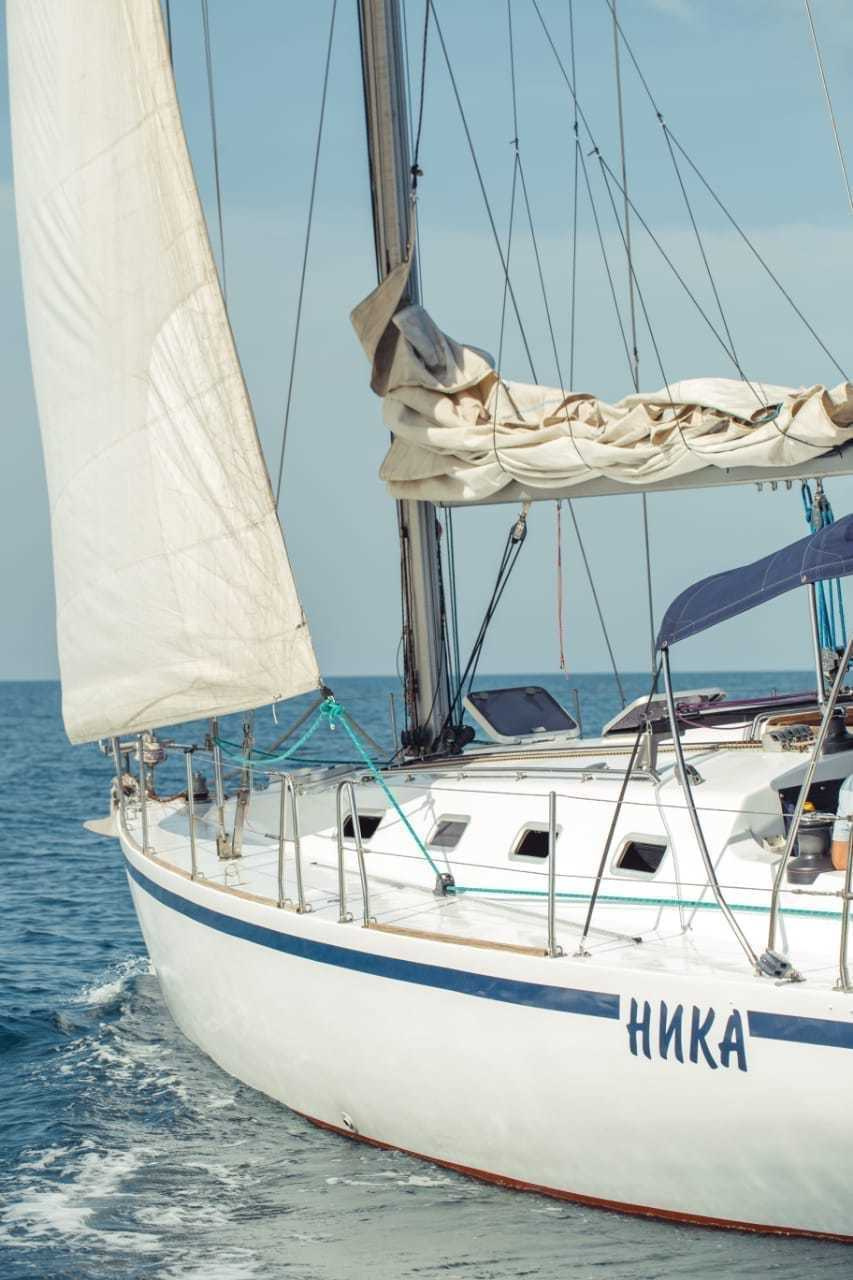 Какая рыба в сочи,из сочи в геленджик на яхте,рыбалка у сочи