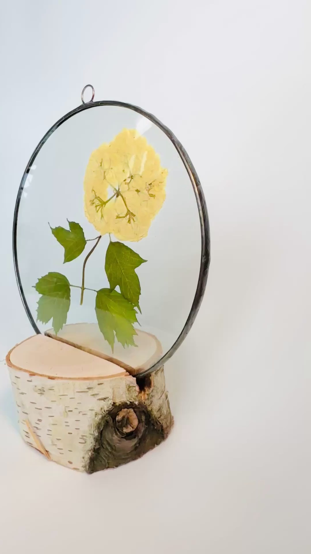 Гербарий в стекле с сухоцветами (витраж в технике тиффани). Гербарий в стекле, интерьерные панно, витражи с сухоцветами в технике тиффани