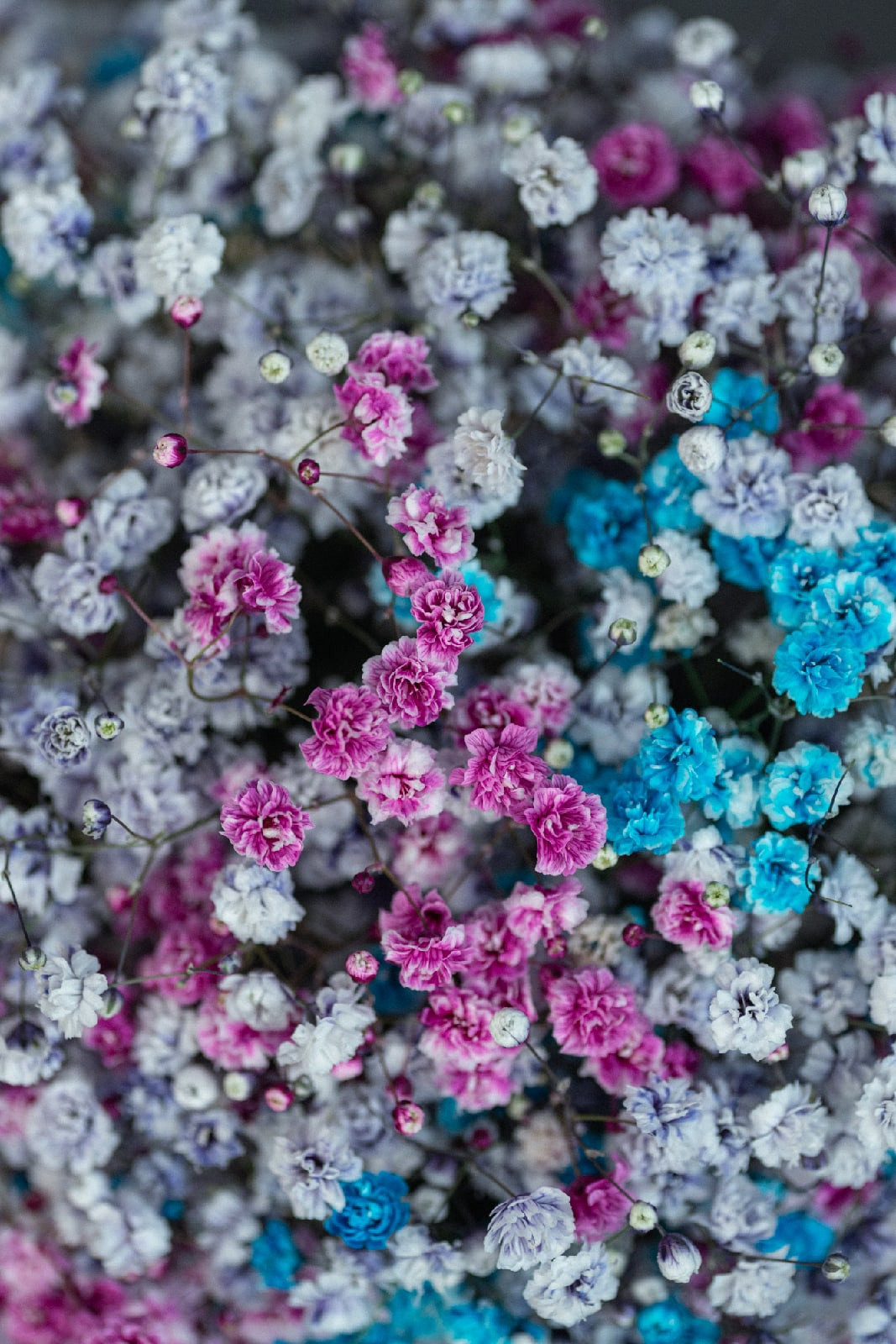 Предметная съемка. Предметная фото и видеосъемка в Саратове| Профессиональный фотограф