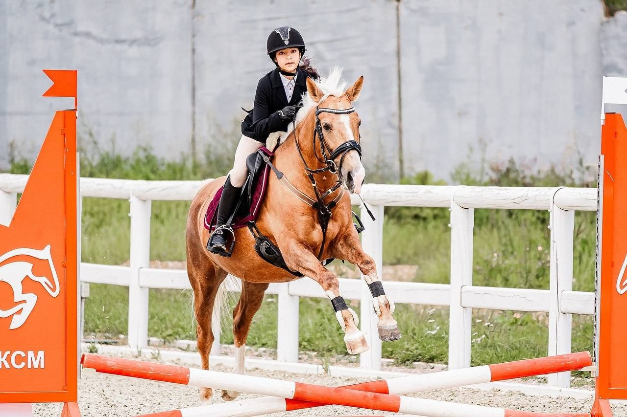 Соревнования по конкуру в МКК ВОЛЬТ — ГОРТЕНЗИЯ-ТУР. Конный фотограф Куракина Дарья • Фотосессии с лошадьми