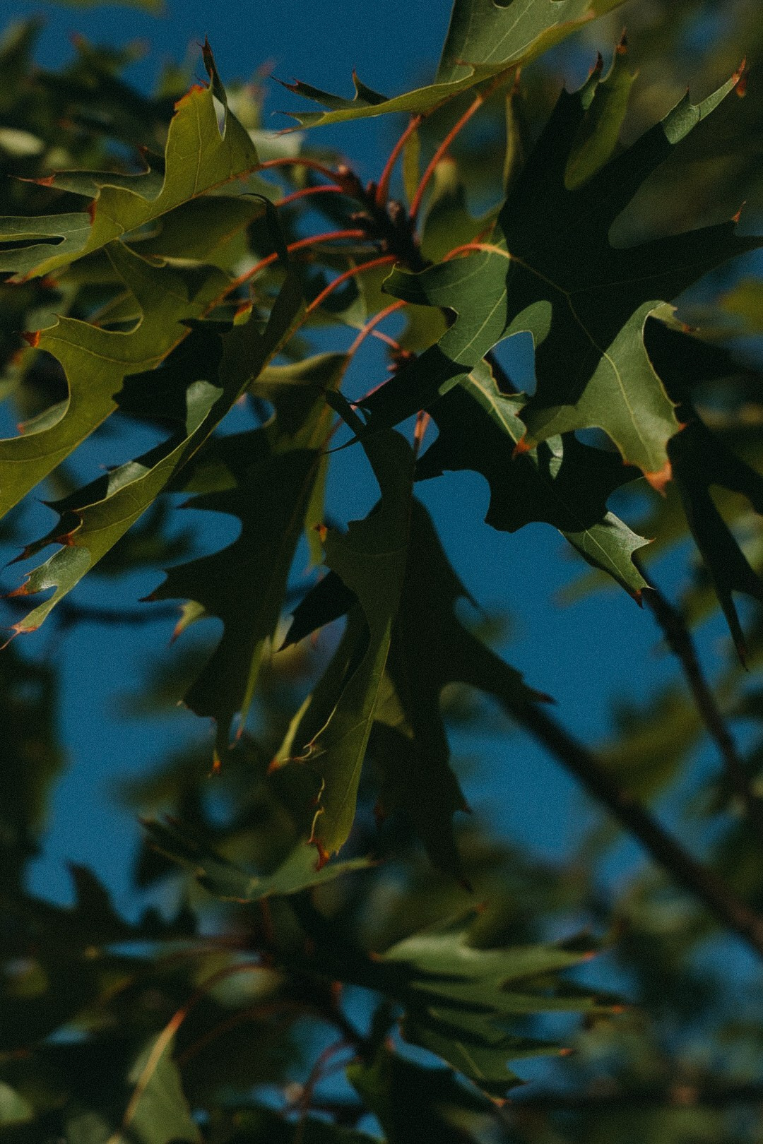 Владимир и Наталья. Фотограф Нижний Новгород