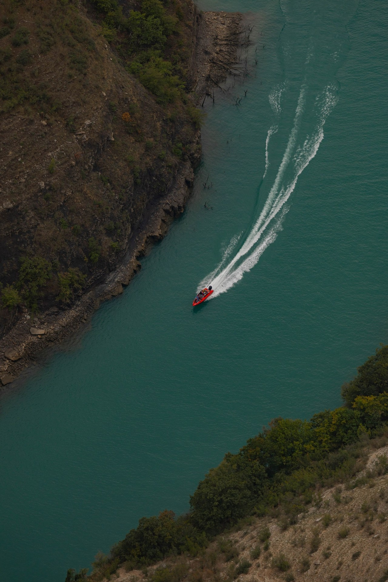 Отзывы. Семейный фотограф Москва Ирина Малышева