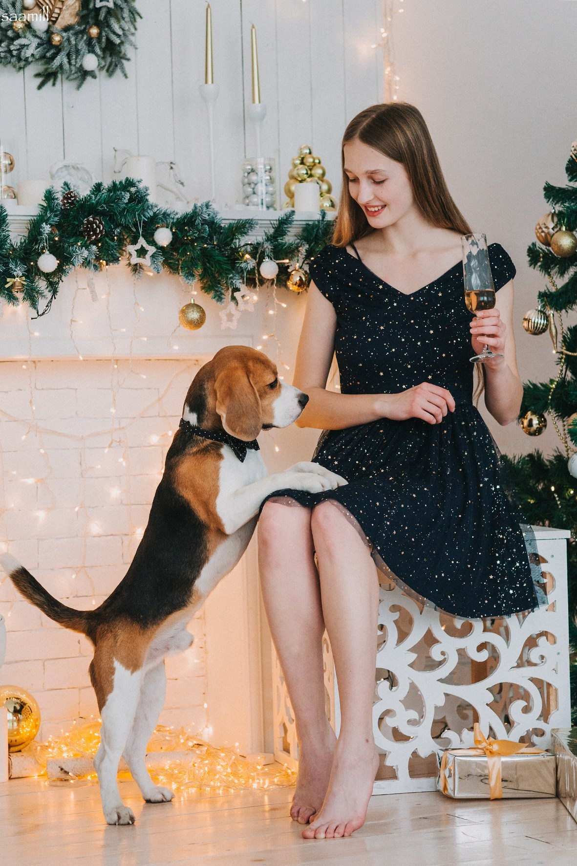 Life with dog. Saamill