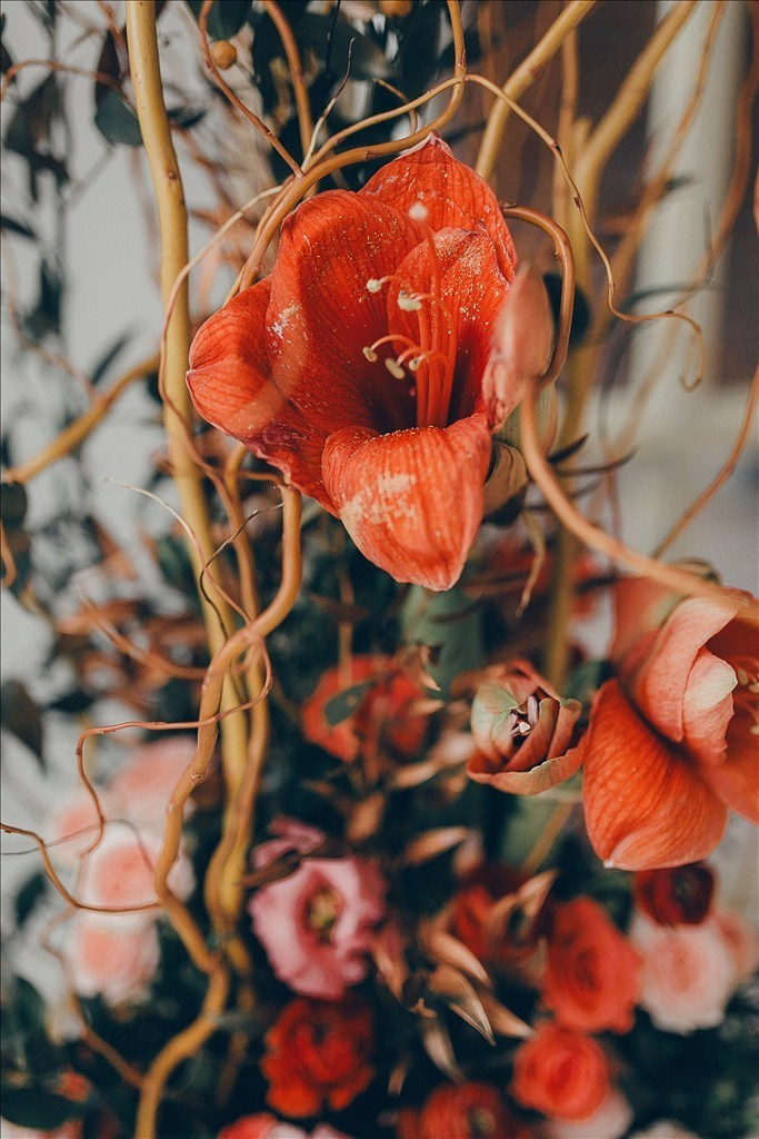 Розовые сны