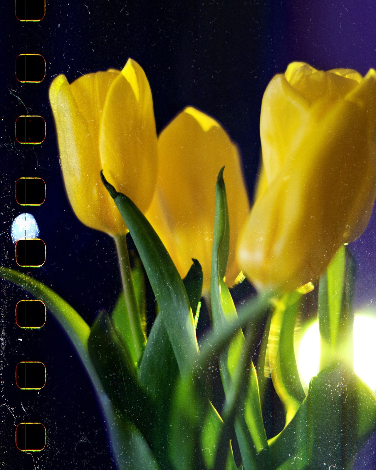 Фотосессия дома Кемерово