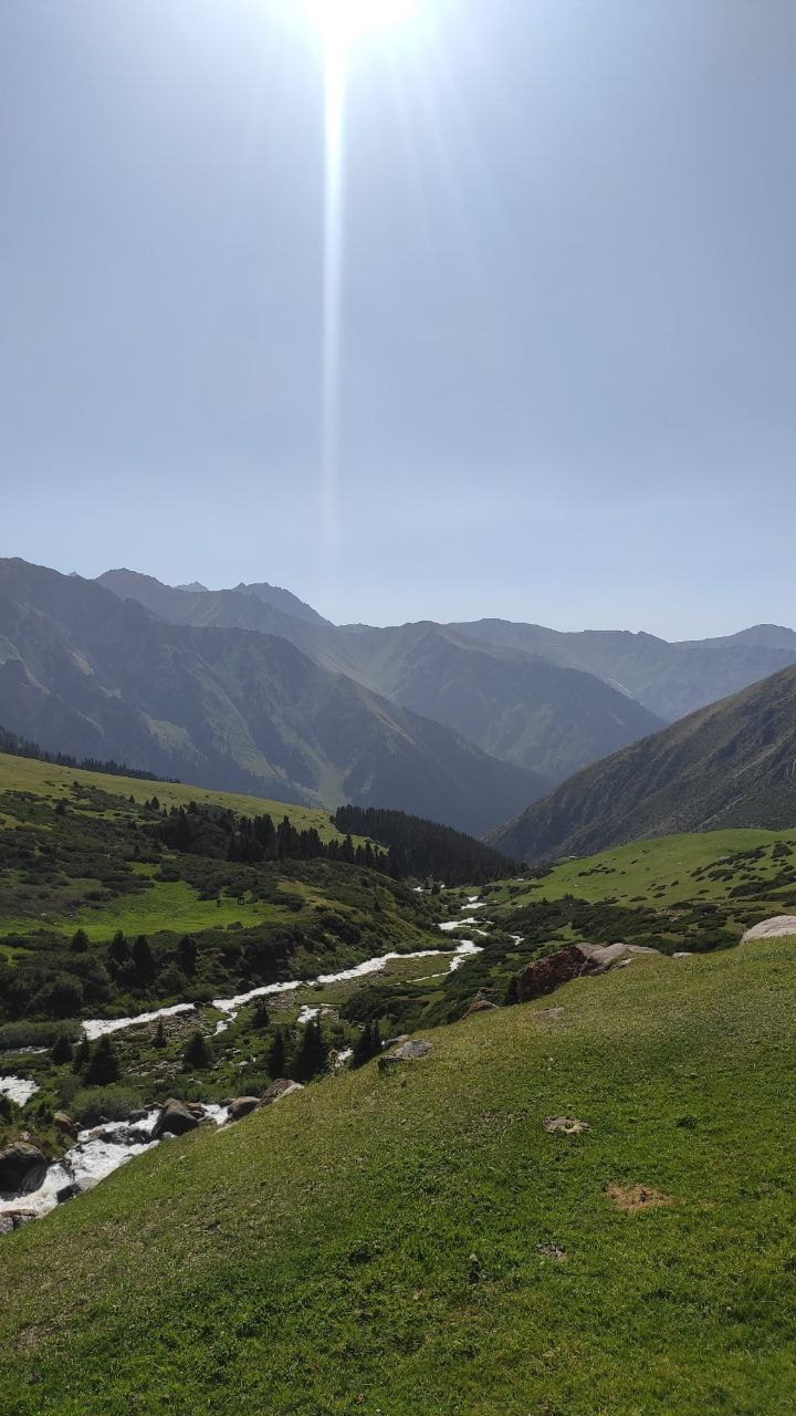 Автор: Аля Павлова