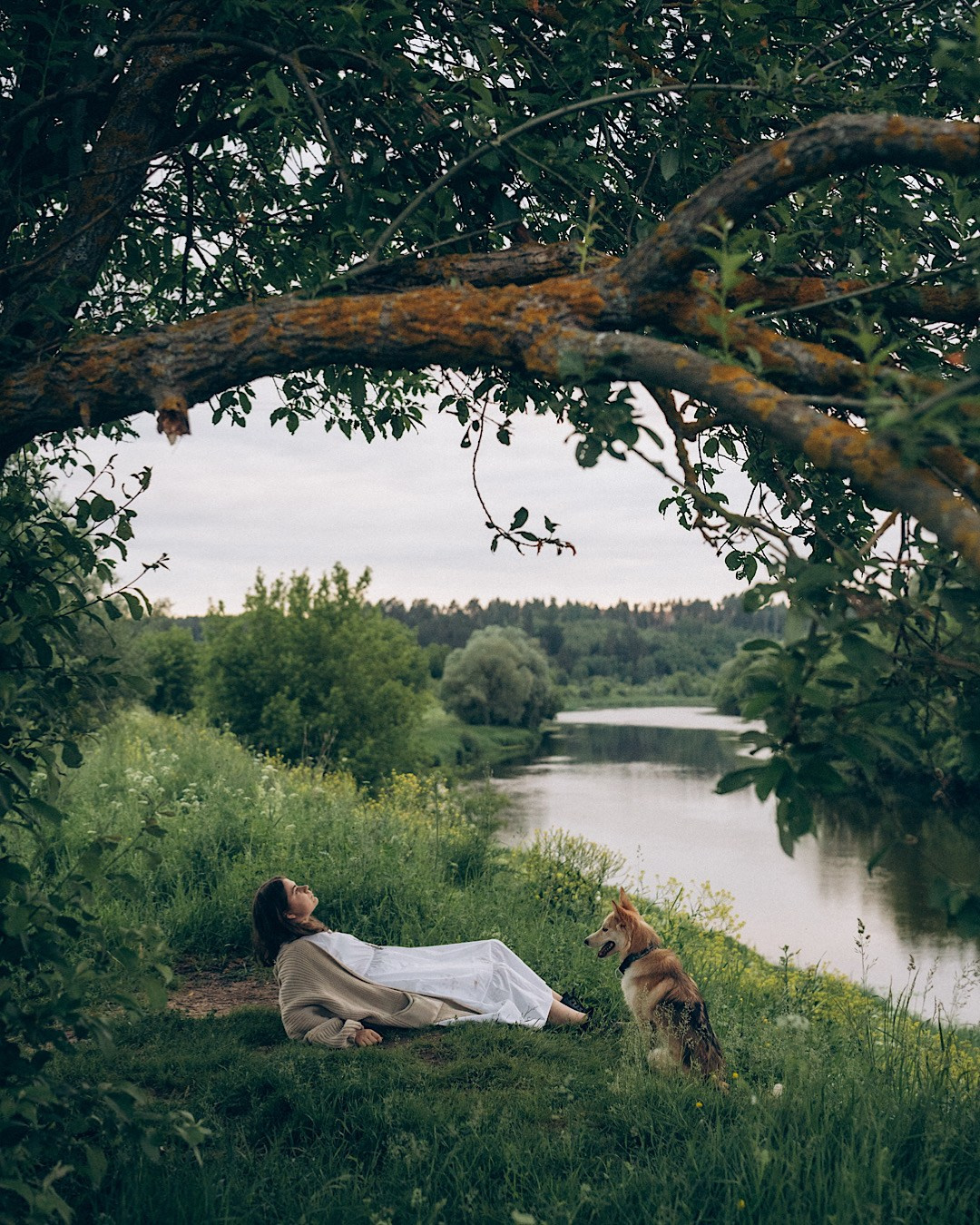 Соня и Кора. Фотограф анималист в Москве и Санкт-Петербурге Свиридова Анна