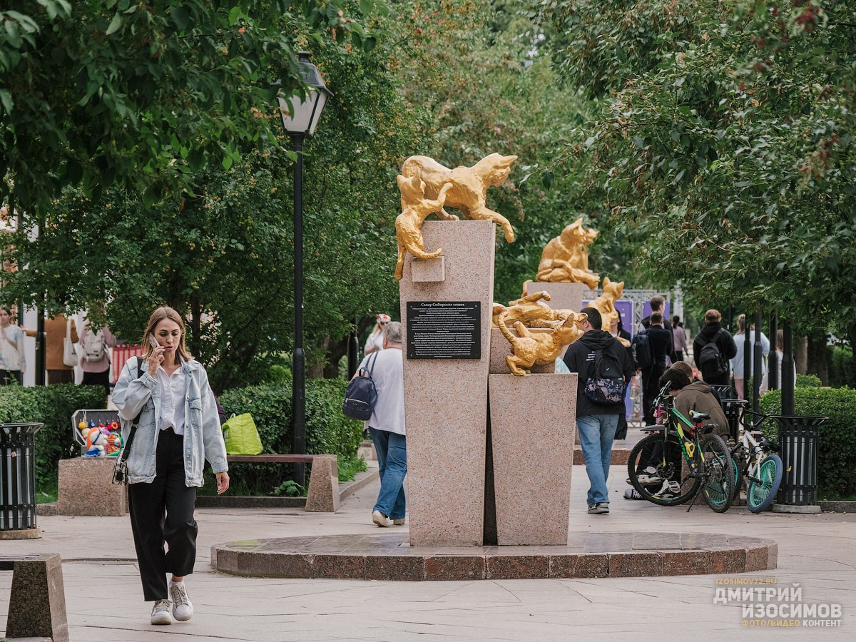 Архитектура