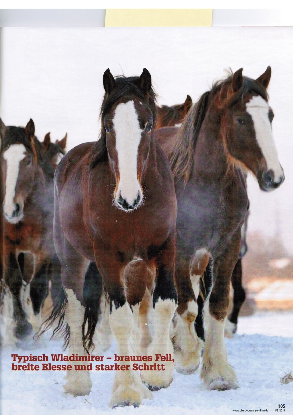 Публикации. Лана Петрова, фотограф