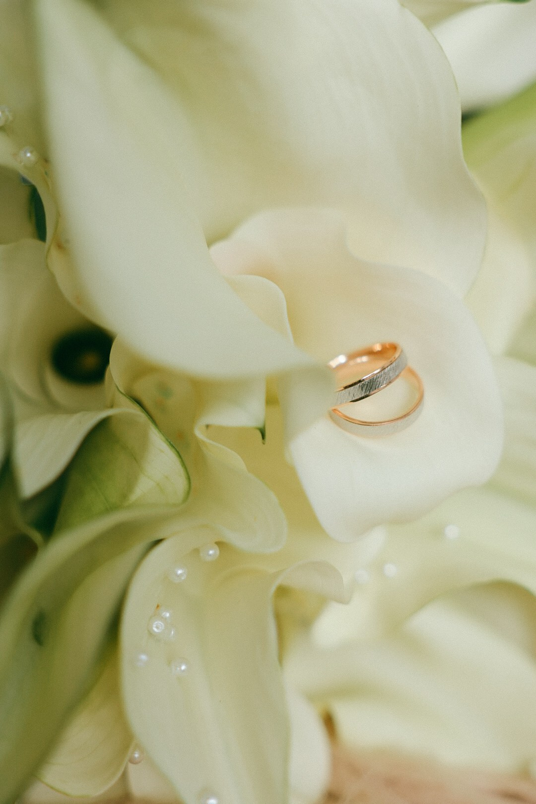 Максим и Ксюша. Фотограф Нижний Новгород