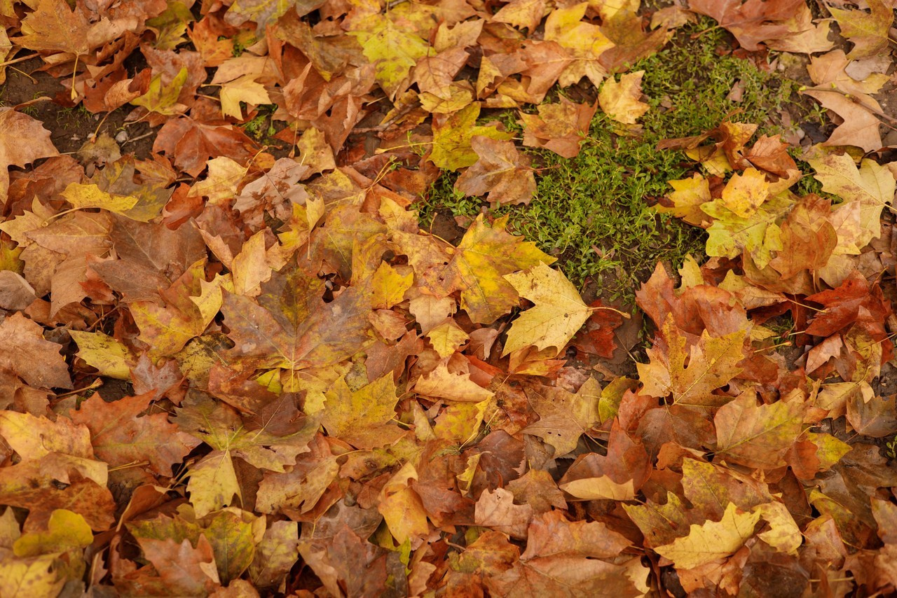 Отзывы. Фотограф новорожденных и семей Туапсе Краснодарский край Анна Альтман