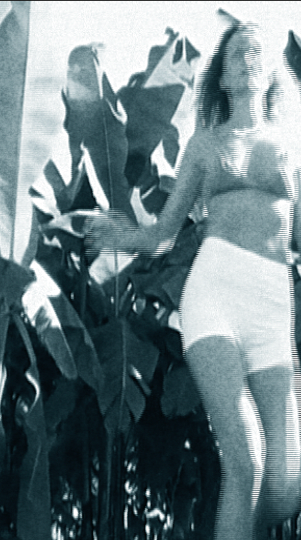 Lost-self in paradise. Carolinetru