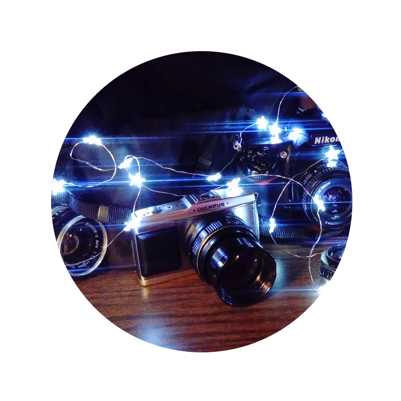 Света фотографирует