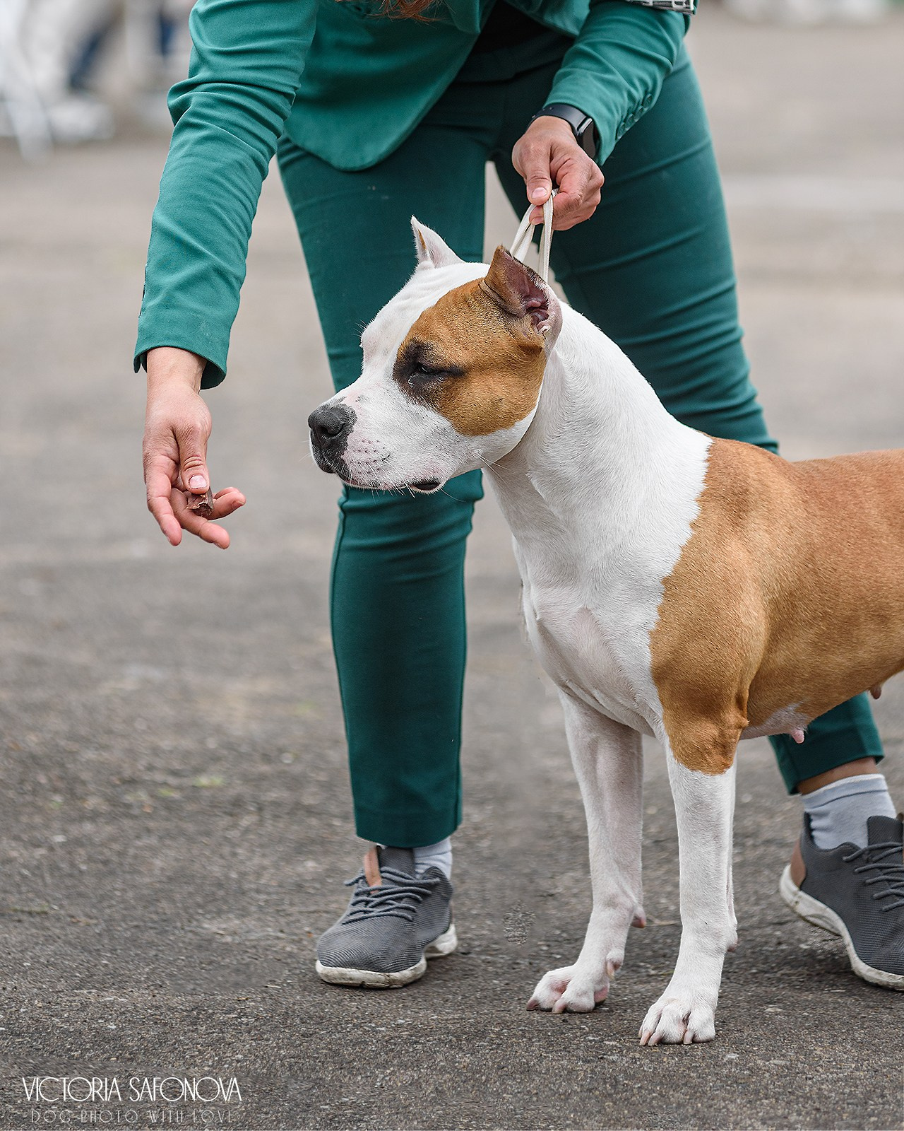 15 июня 2024 Биробиджан. Фотограф анималист Благовещенск. Сафонова Виктория