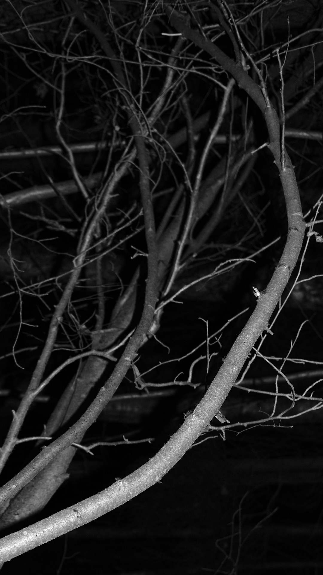 In forest. Vanyazaramkami