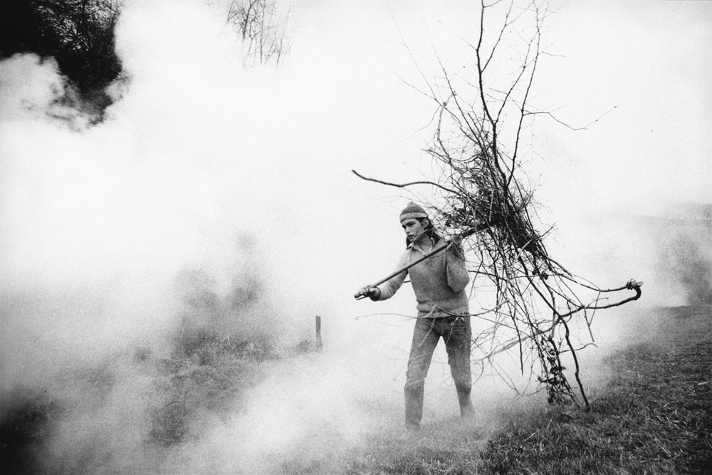 Роджер Дикинс — британский кинооператор и фотограф