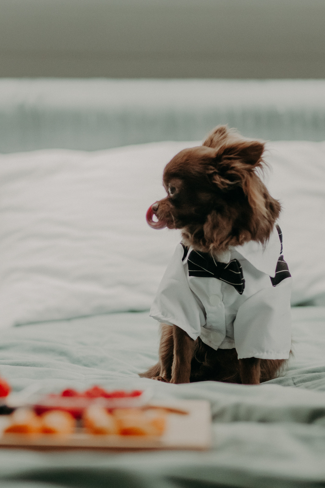 Зимняя свадьба в Пайн Ривере. Свадебное фото и видео Москва Кристина Музыка