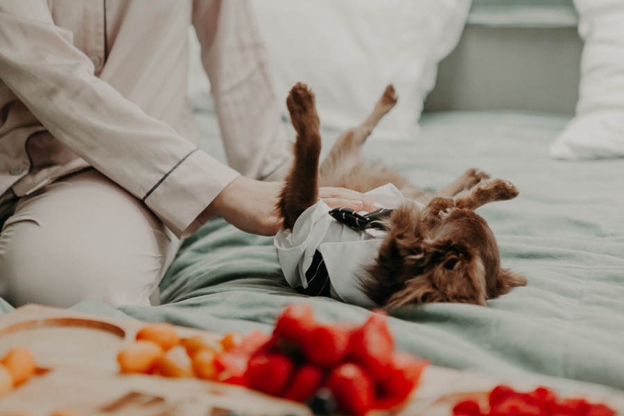 Зимняя свадьба в Пайн Ривере. Свадебное фото и видео Москва Кристина Музыка