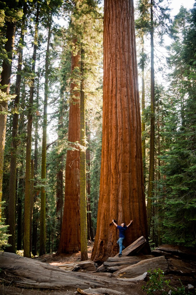 Landscape photography. Photographer Kirill Sergeev | Moscow